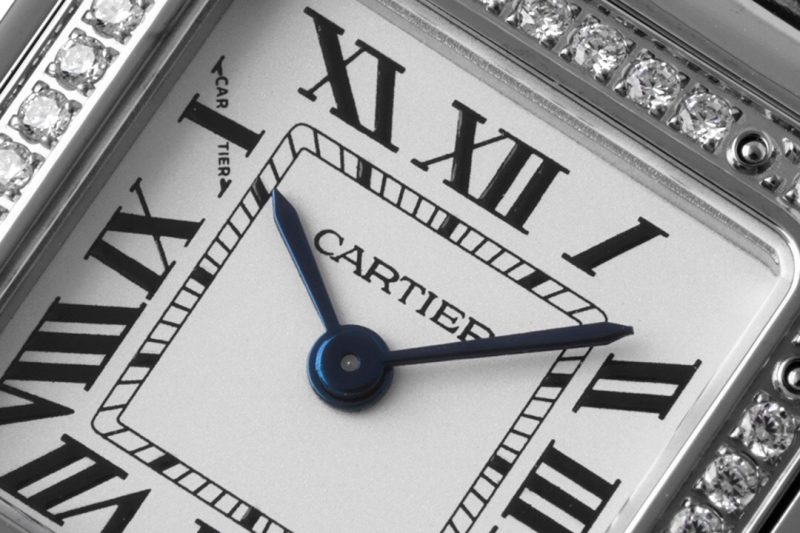 Cartier Panthère de Cartier Small 5