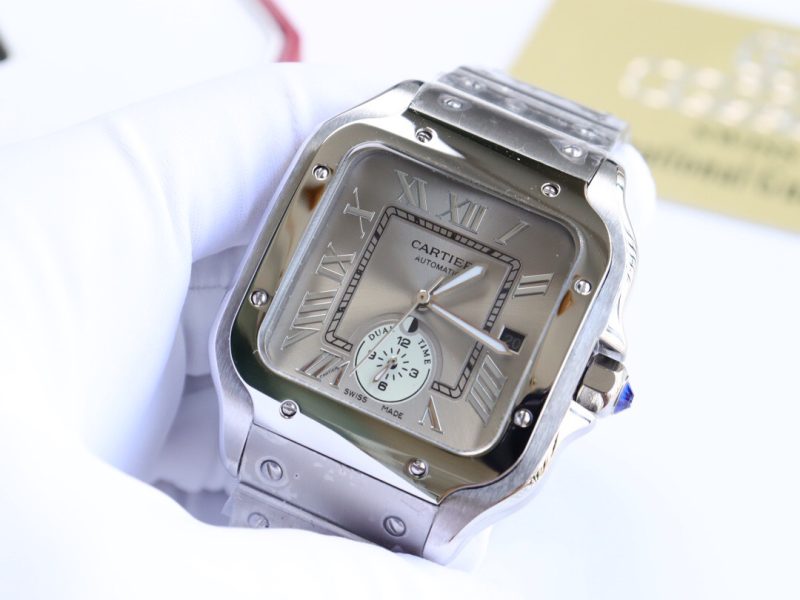 Cartier Santos WSSA0076 Large 4