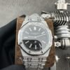 Audemars Piguet Iced Out Watch #002